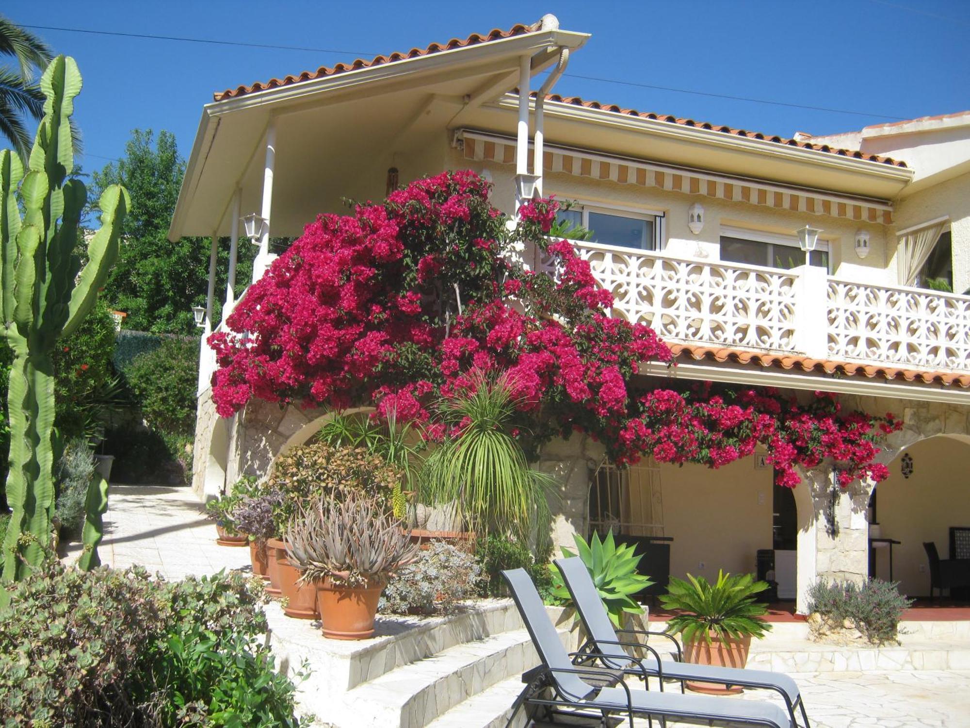 Bougainville Apartament *